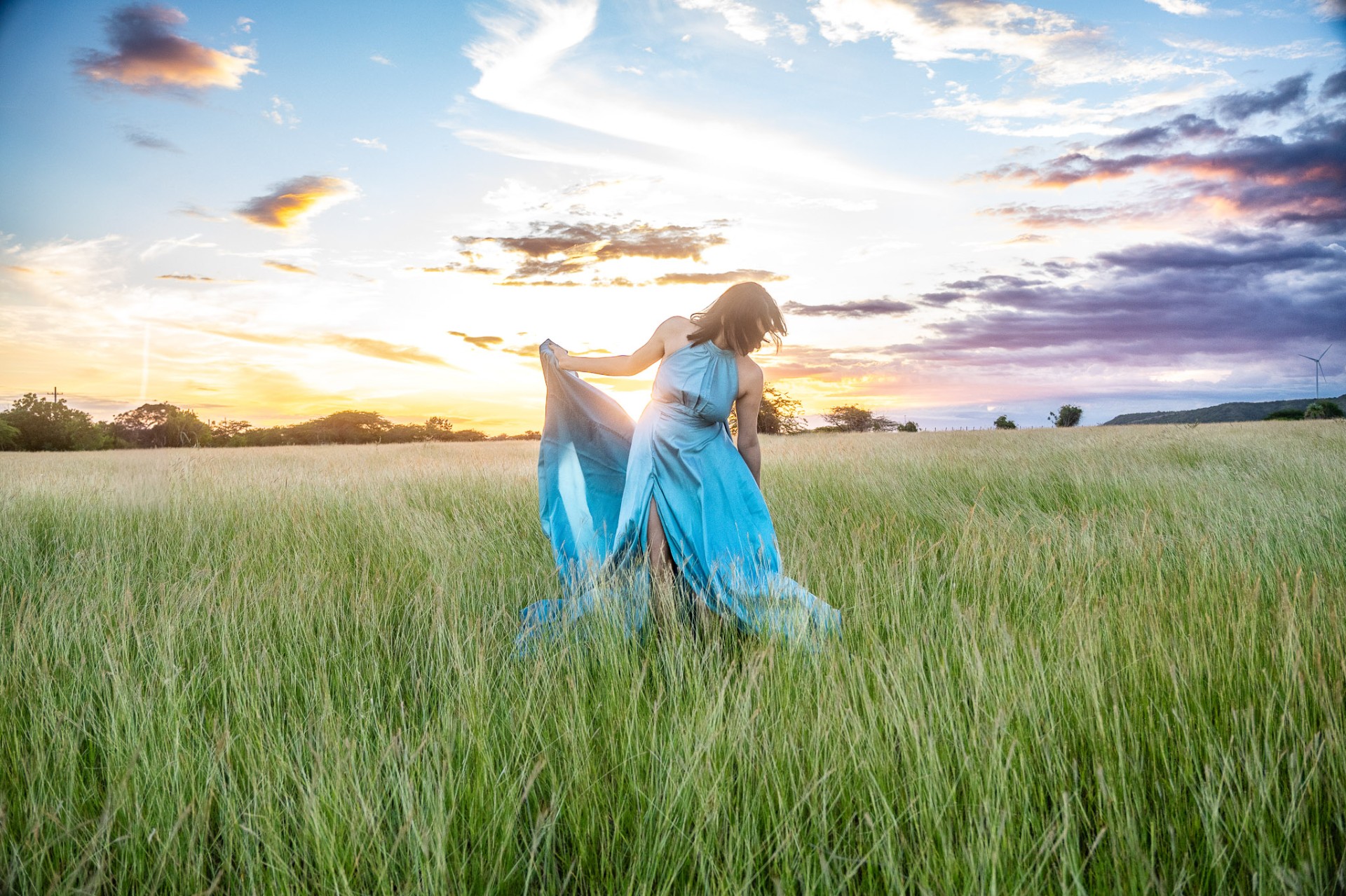 Wildgrass Silhouette